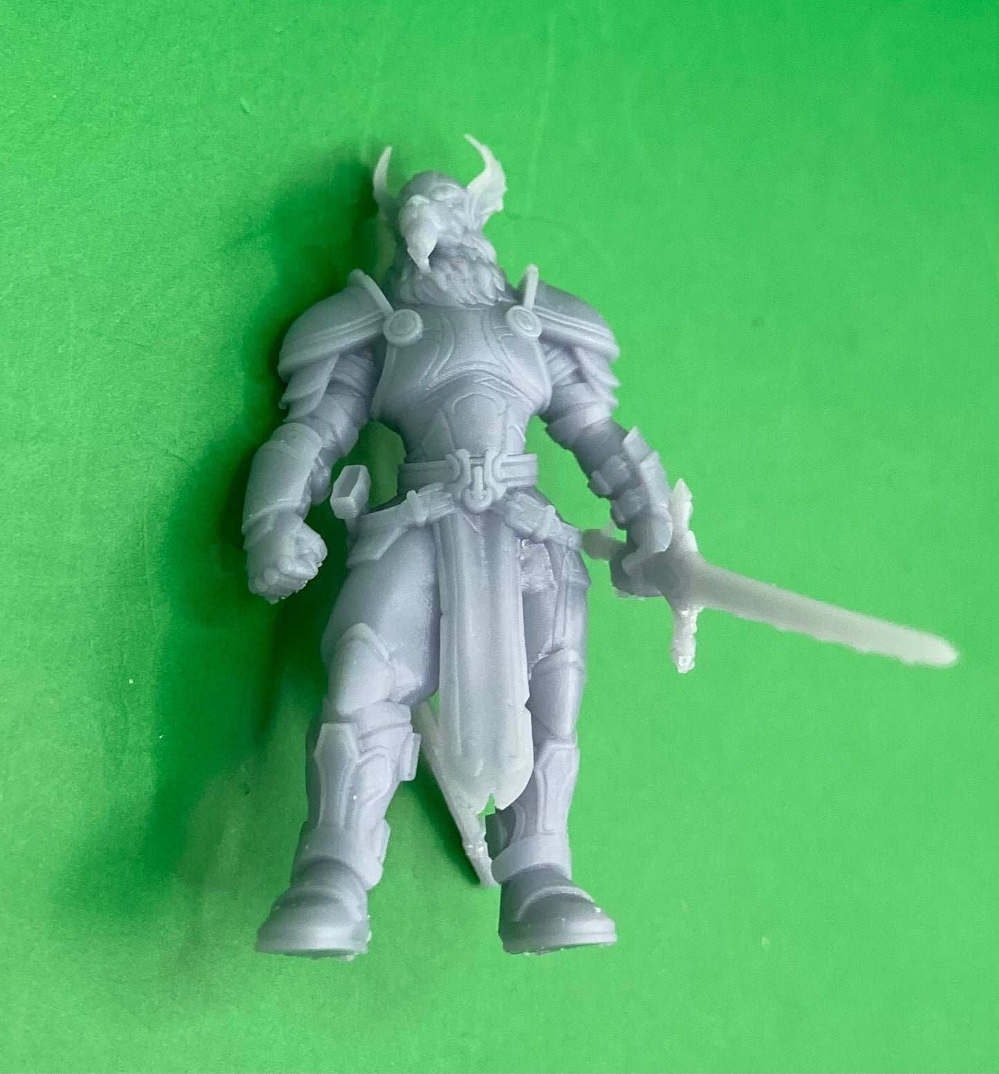 Beast Folk Paladin (3 Variants Available) - Epic Miniatures