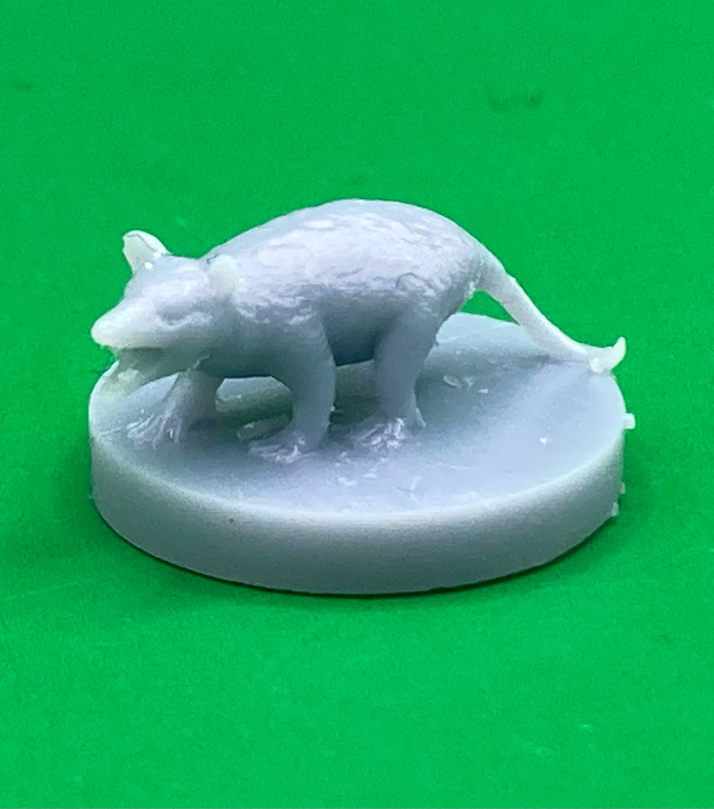 Opossum (2 Variants Available) - MZ4250