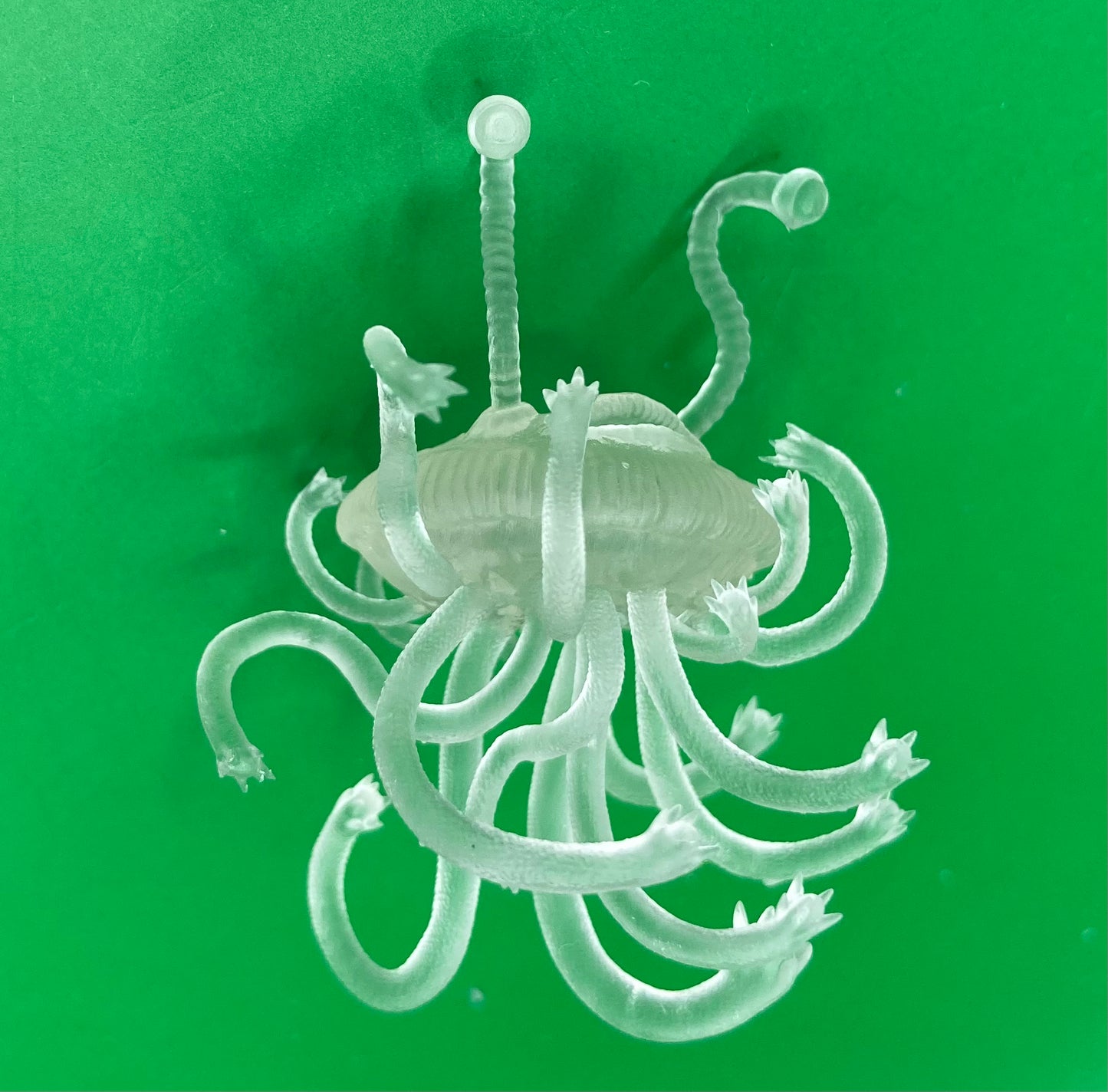 Flumph Jellyfish - Epic Miniatures