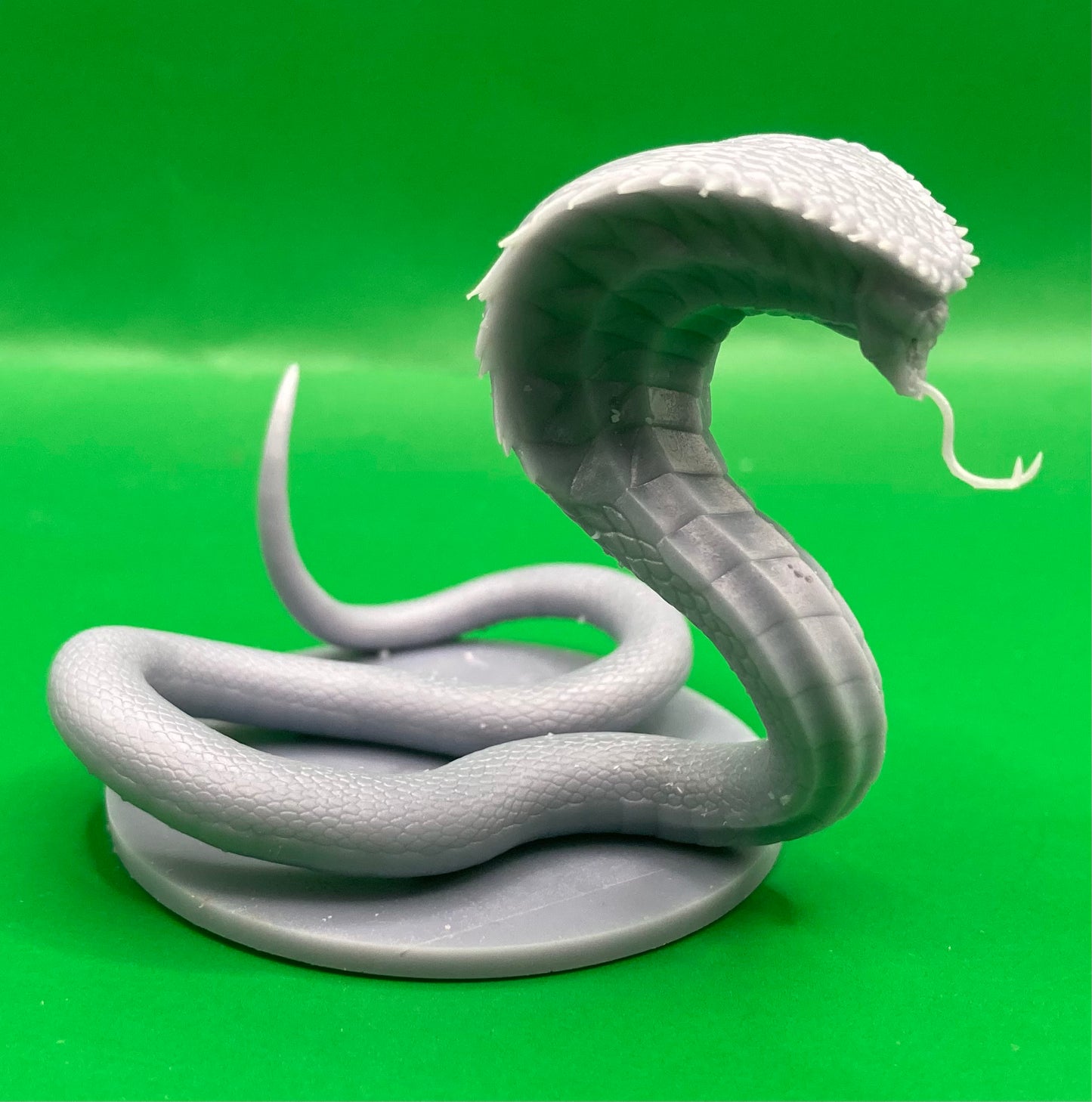 Naga (2 Variants) - MZ4250