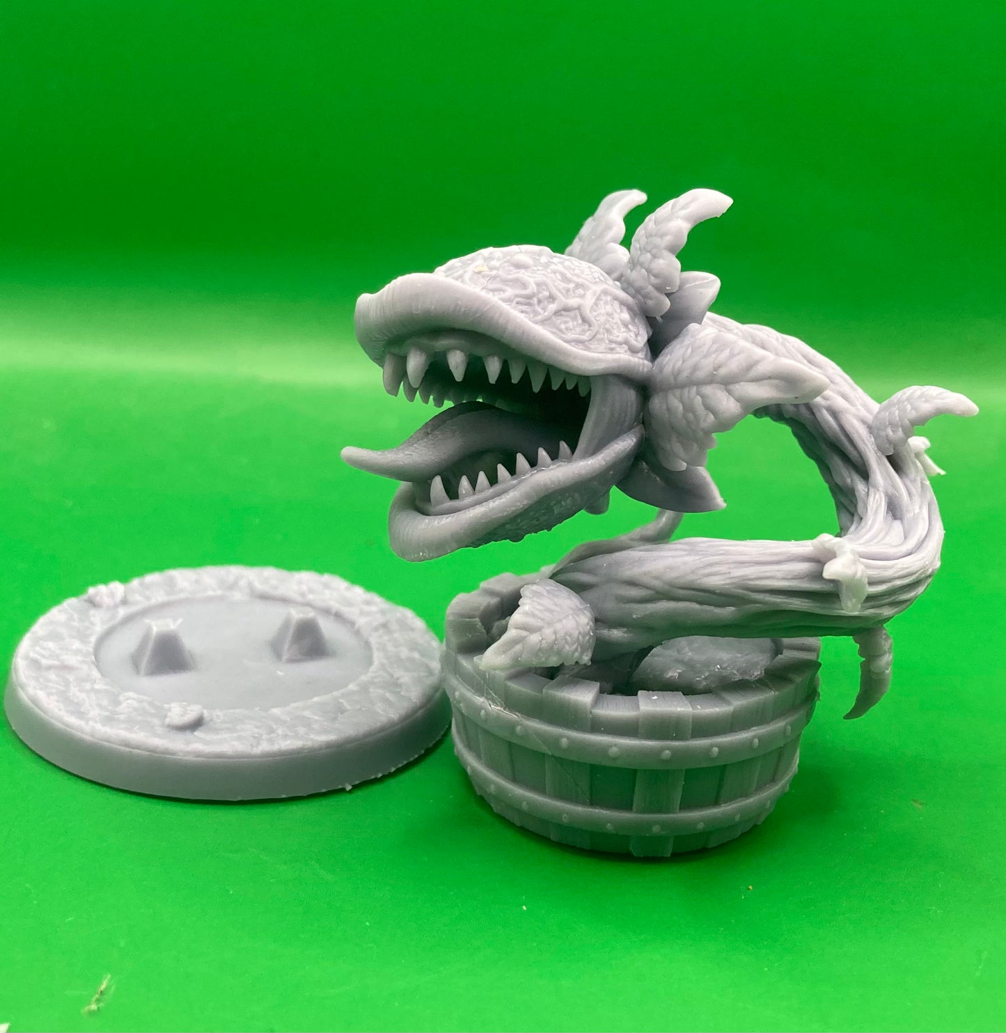 Carnivorous Plants (3 Variants Available) - Dragon Trapper's Lodge