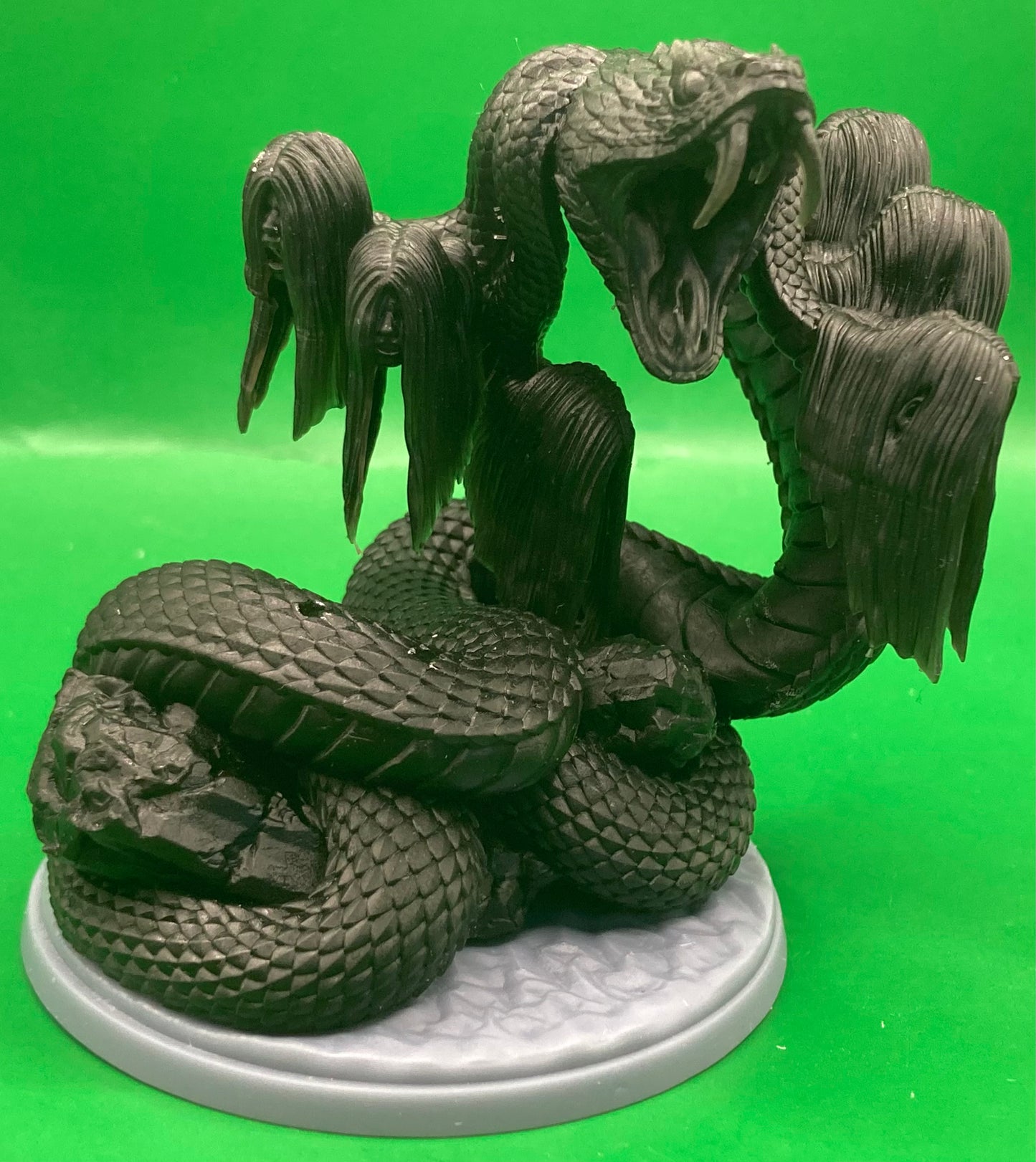 Reverse Medusa - Dragon Trapper's Lodge