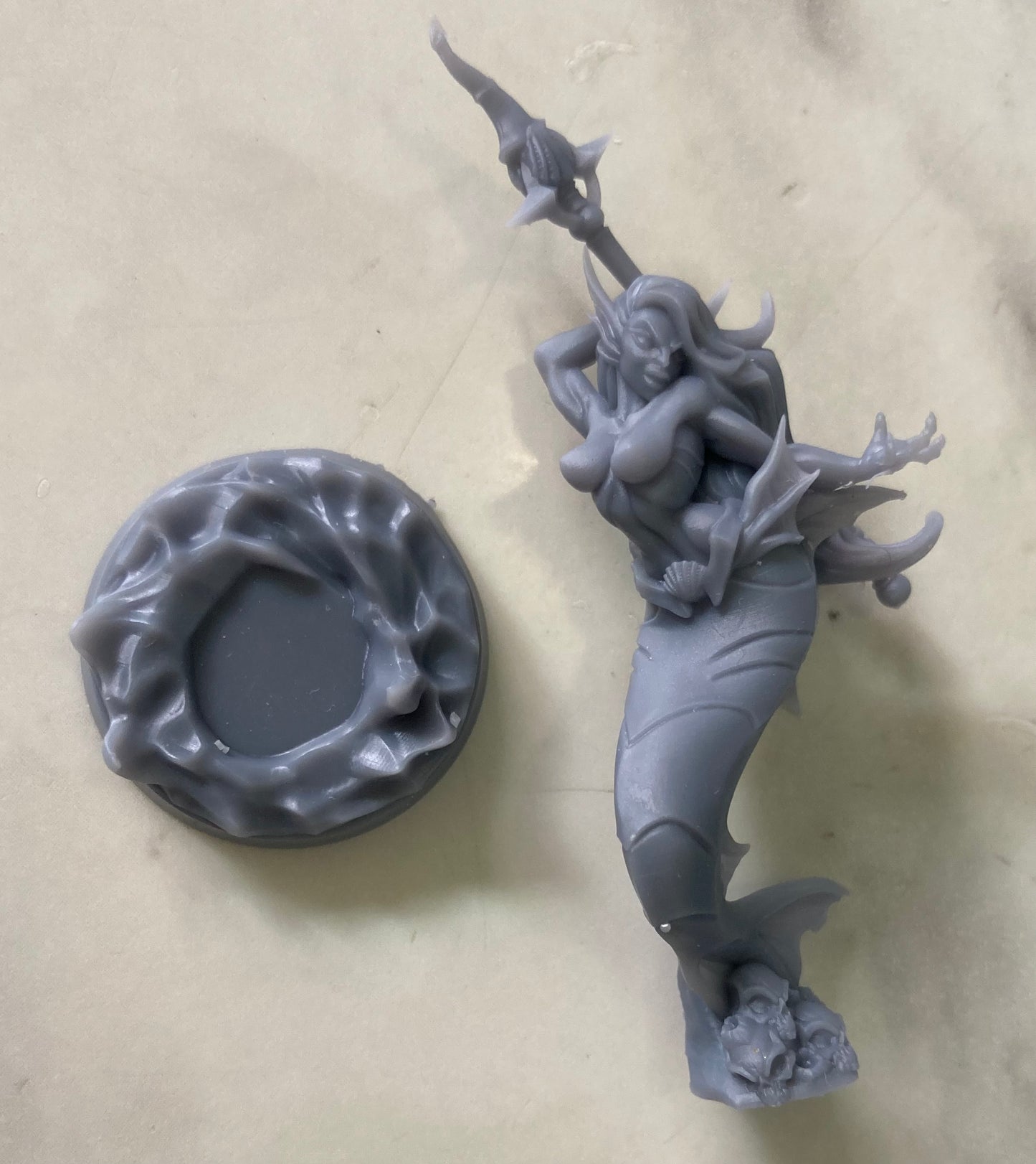 Telaxia, Tide Beauty - Artisan Guild
