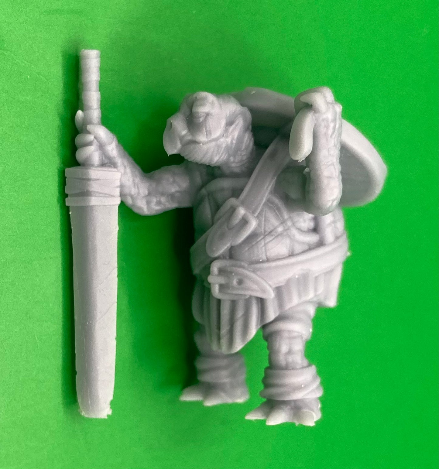 Turtle Folk Tribe 1 (4 Variants Available) - Epic Miniatures