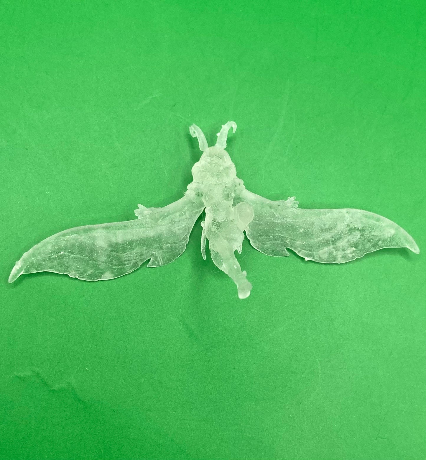 Moth Girl (3 Variants Available) - Epic Miniatures