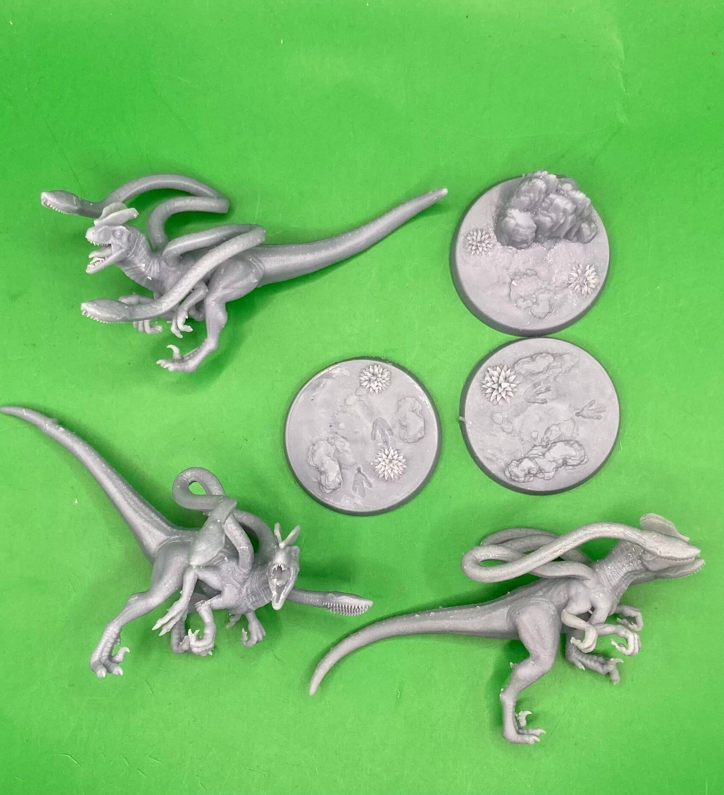 Displaceraptors (3 Variants Available) - Dragon Trapper's Lodge