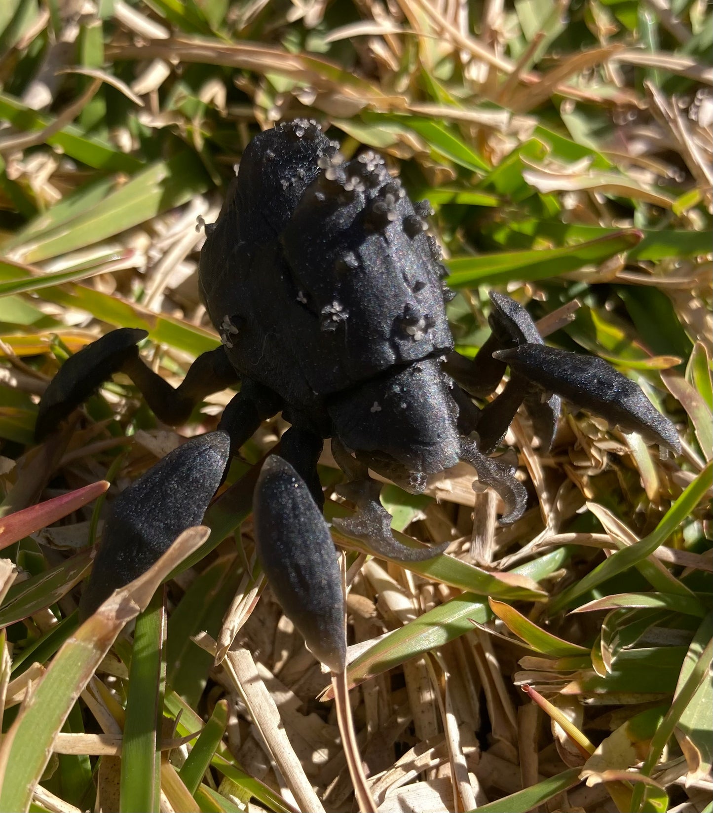 Spore Beetle - Epic Miniatures