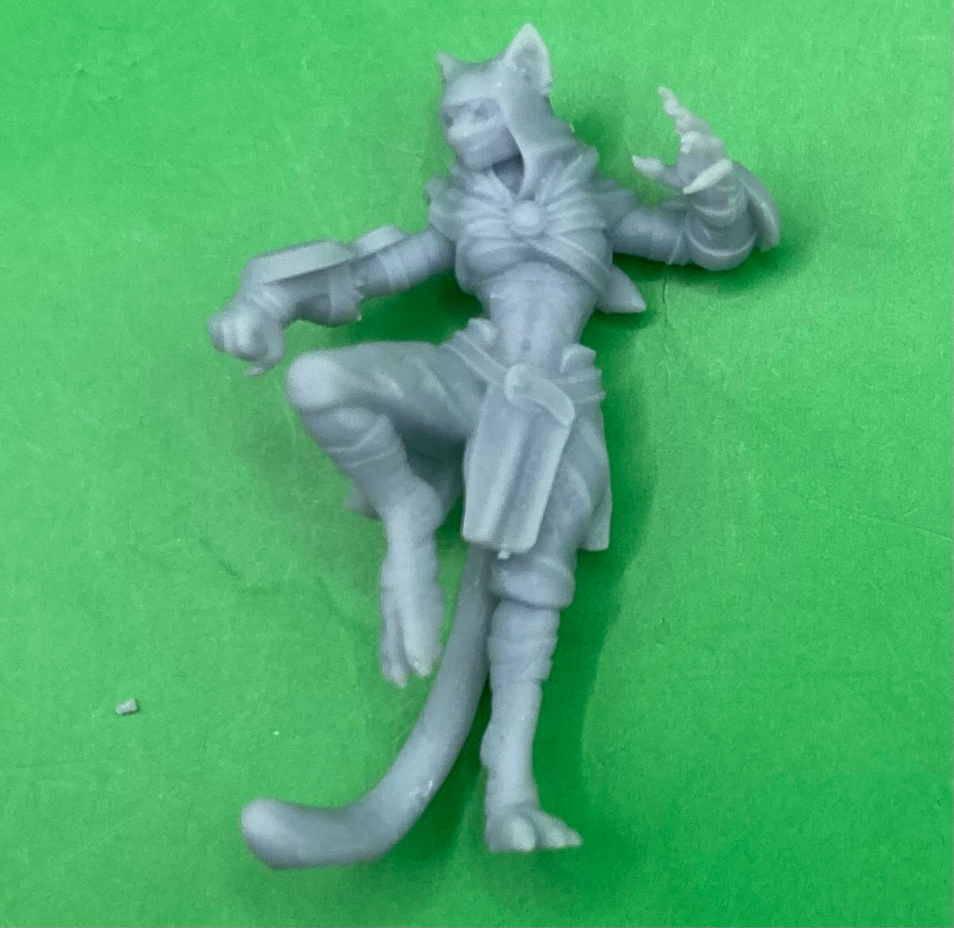 Tabaxi Monk (2 Variants) - Velrock
