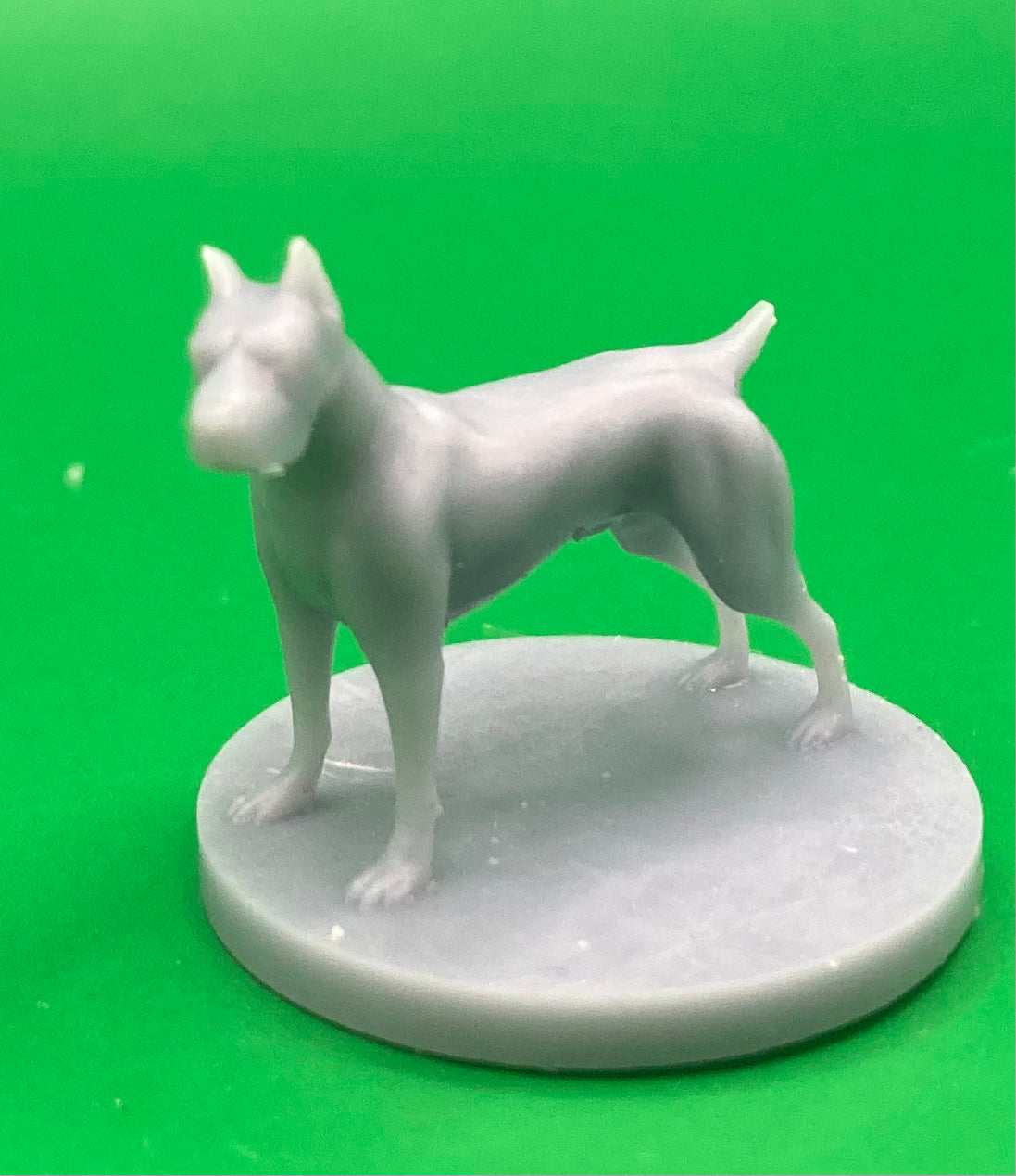 Pitbull (3 Variants Available) - MZ4250