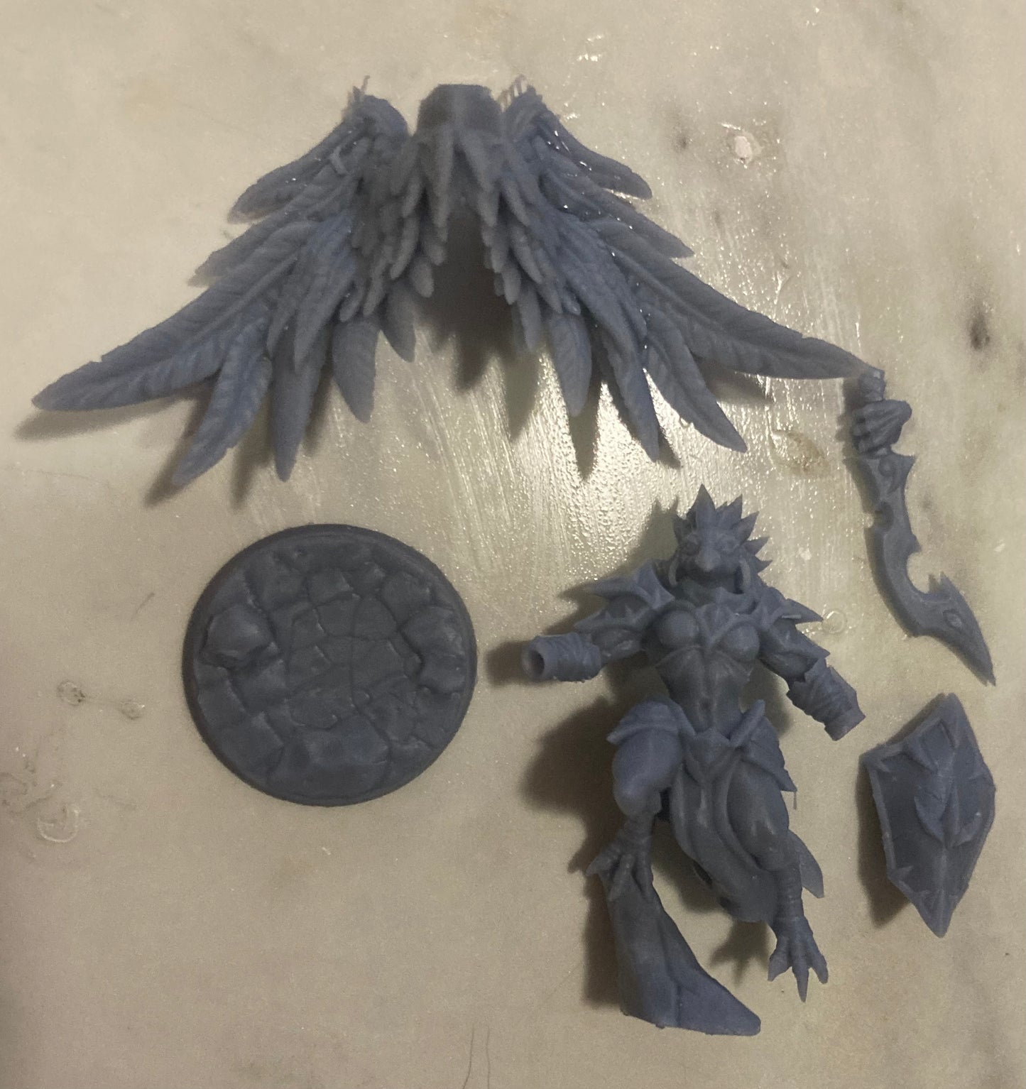 High Gryphkin C (2 Variants Available) - Artisan Guild