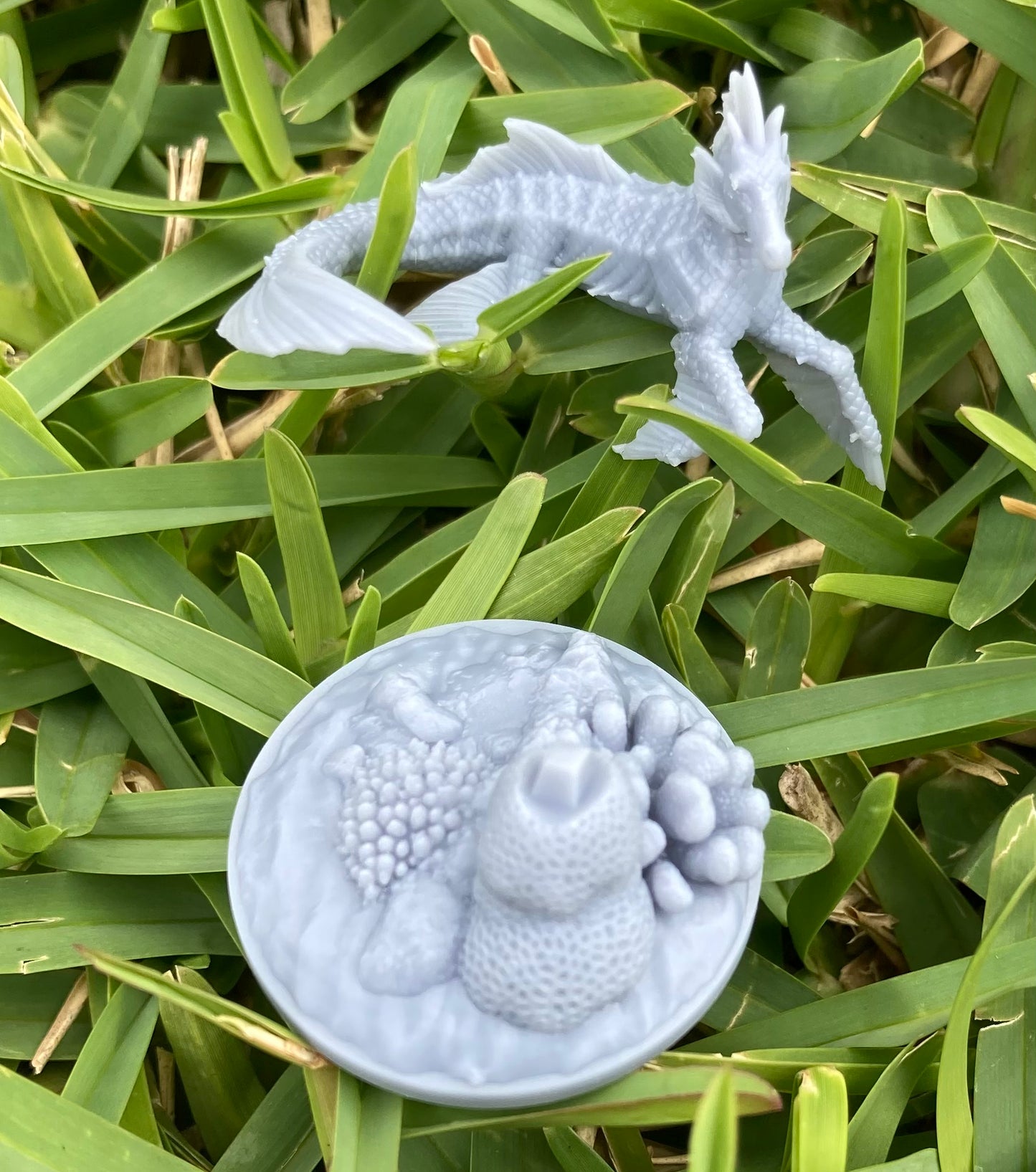 Sea Horse - Brayan Nafarrate