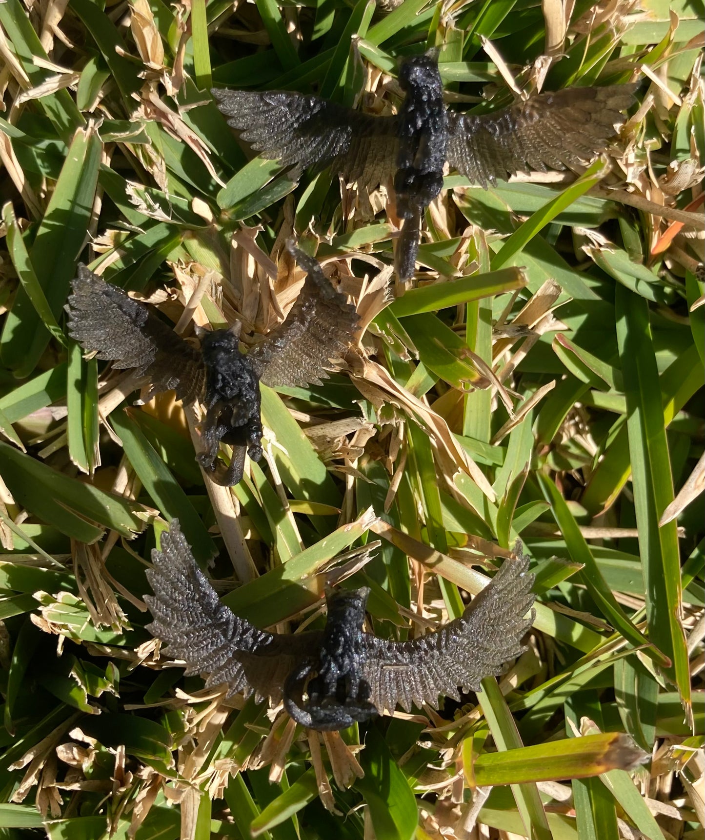 Flying Cat (3 Variants Available) - Velrock