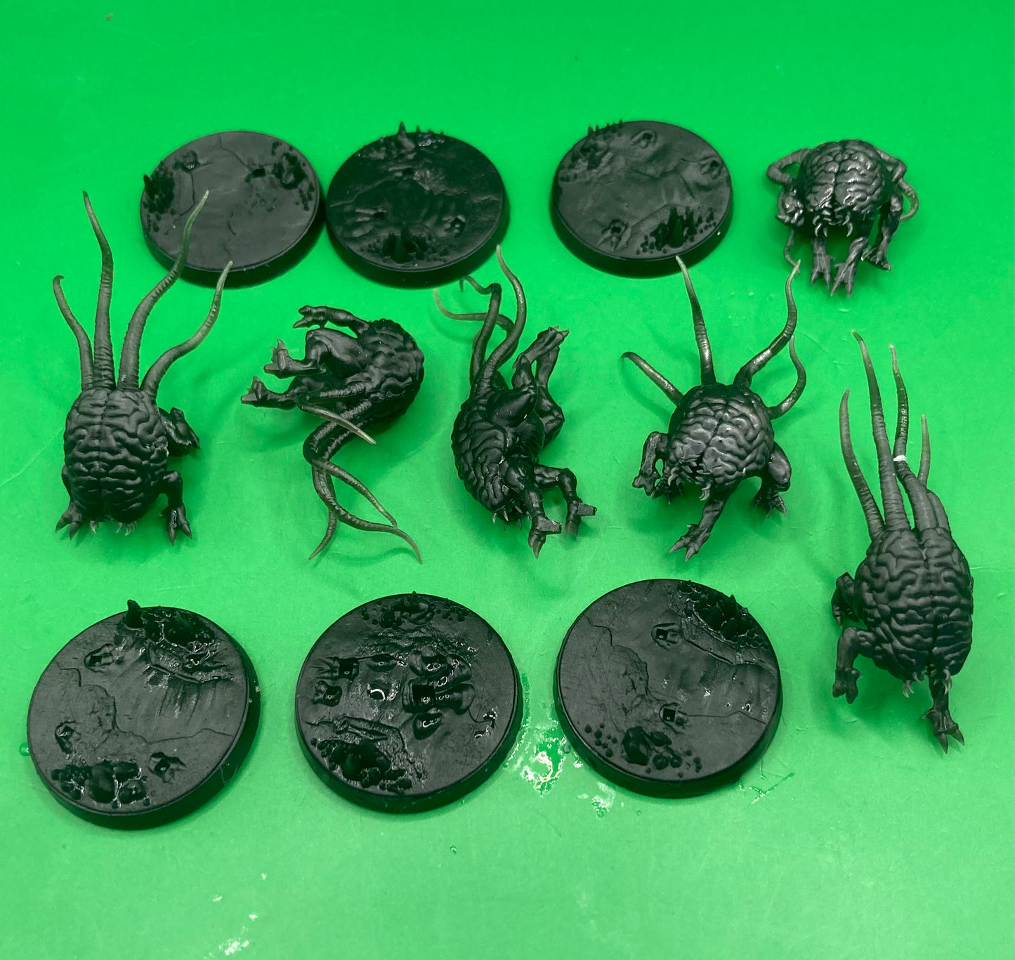 Intellect Devourers (6 Variants Available) - Dragon Trapper's Lodge