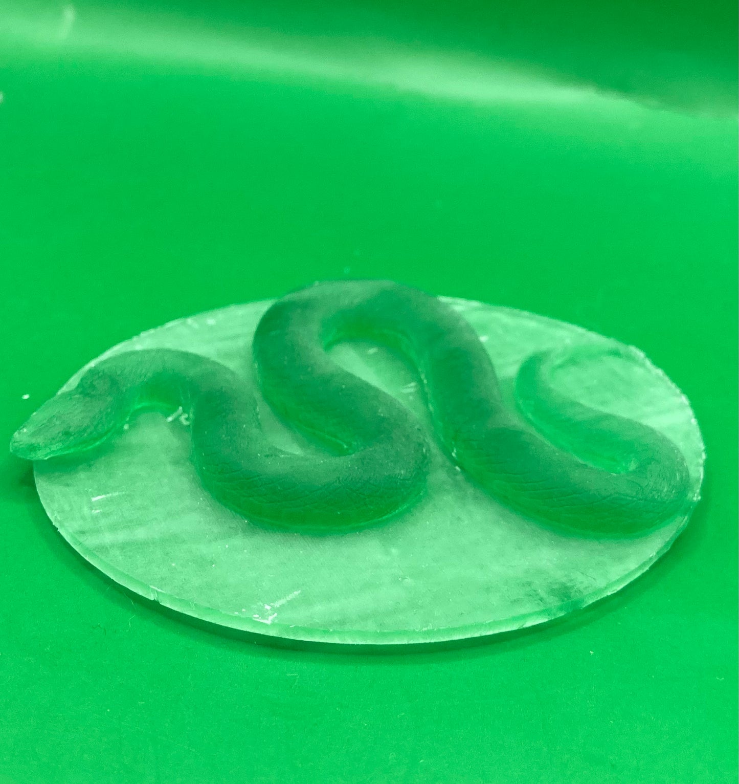 Giant Constrictor Snake (2 Variants Available) - MZ4250