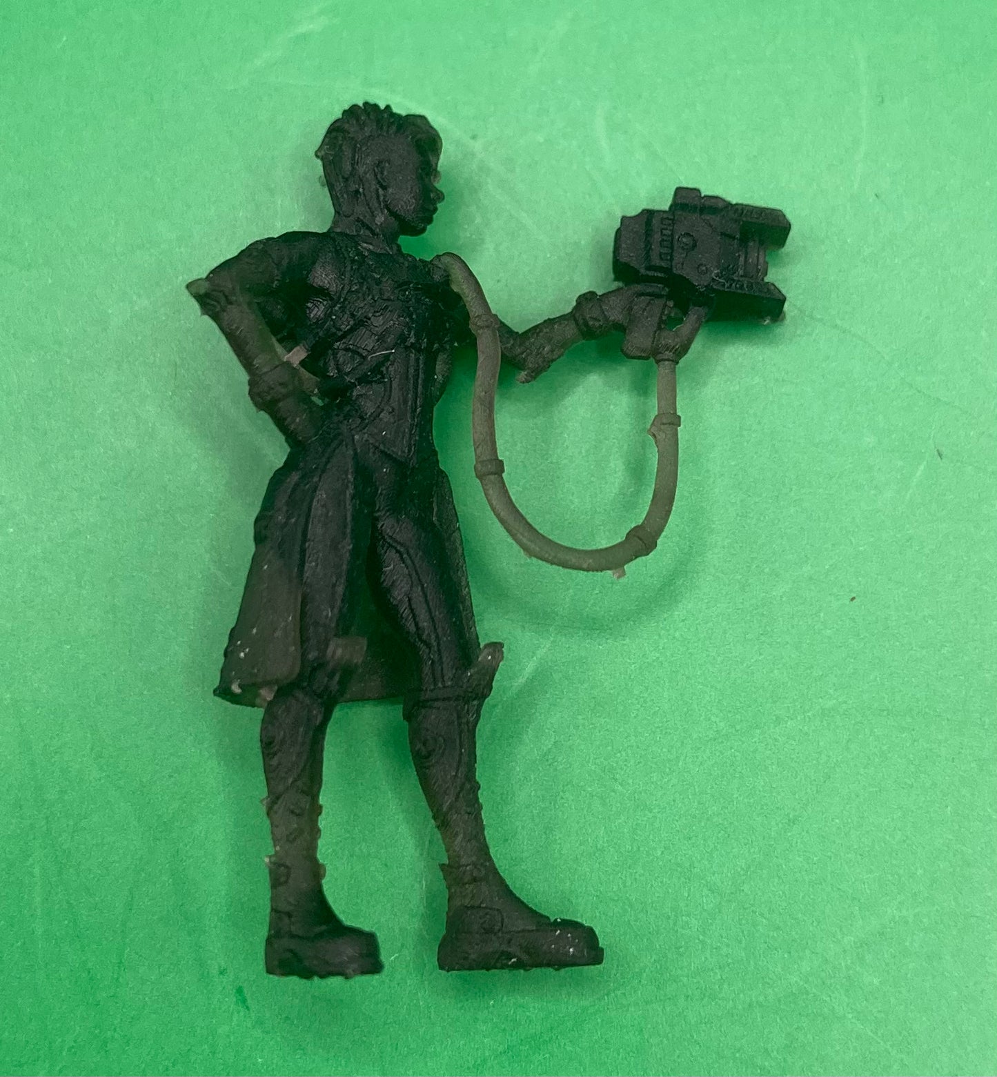 Zoologist Raven - Print Minis