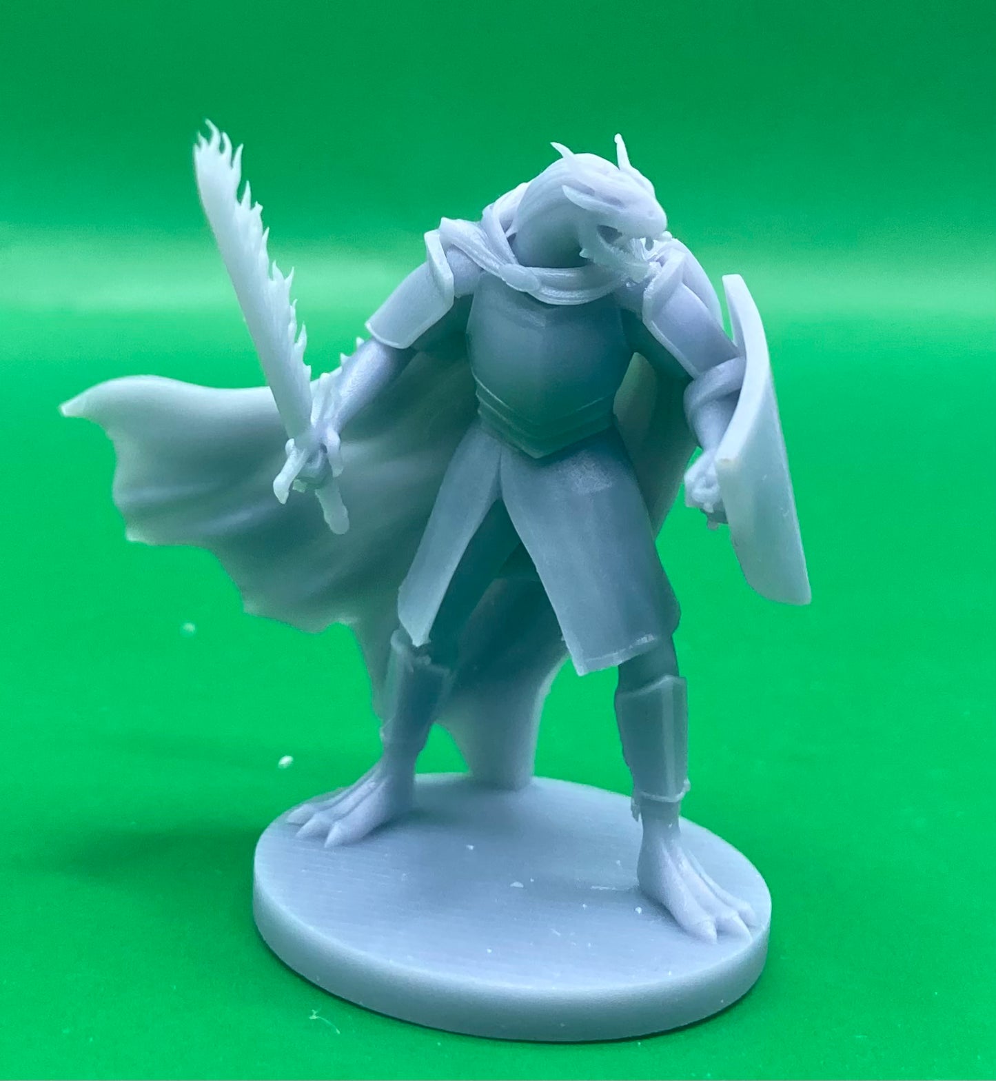 Dragonborn Paladins (2 Variants Available) - MZ4250
