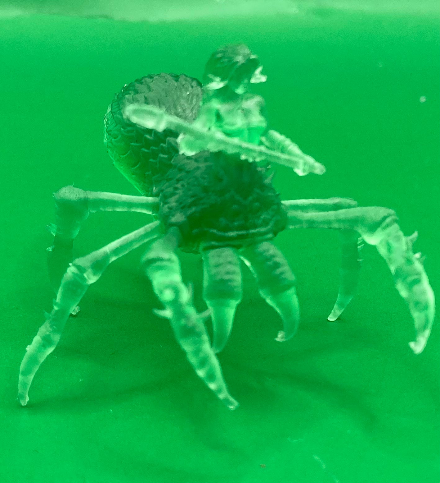 Arachne, Spider Lady (3 Variants Available) - Epic Miniatures