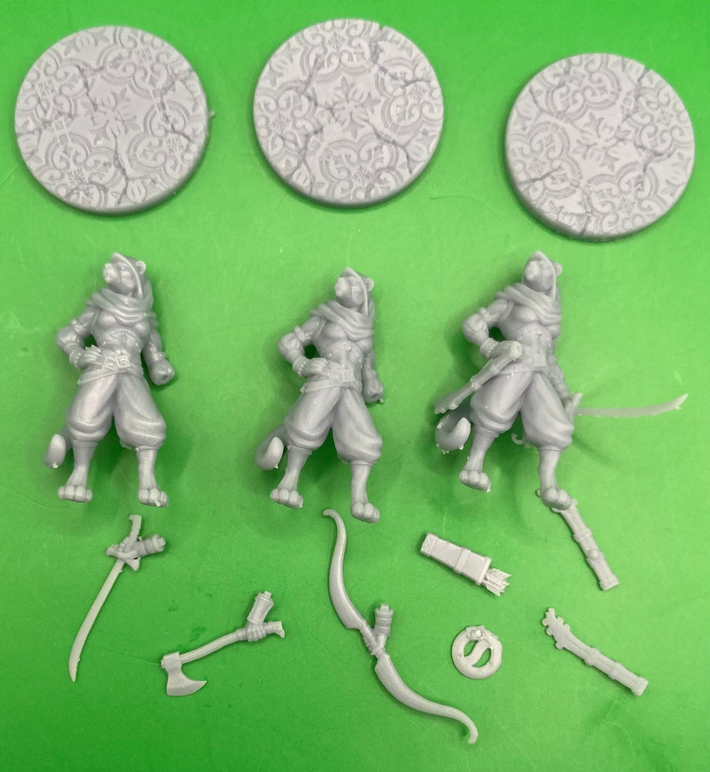 Taja, Tabaxi Ranger (3 Variants Available) - Dragon Trapper's Lodge
