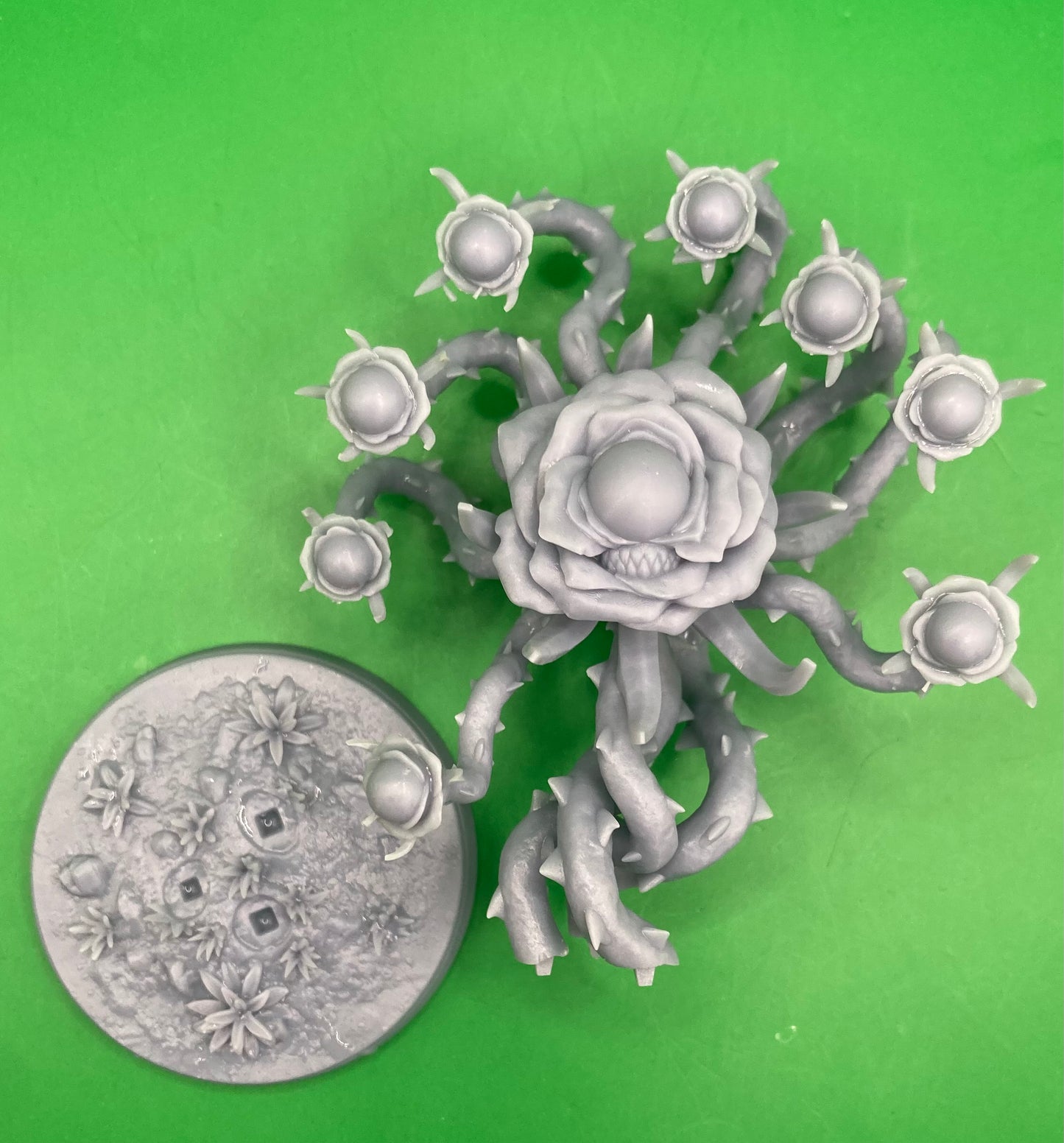 Rose Beholder - Dragon Trapper's Lodge