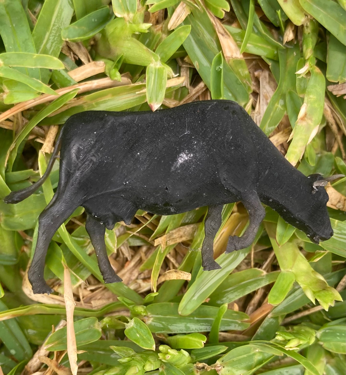 Farm Animal - Cow (3 Variants Available) - Epic Miniatures