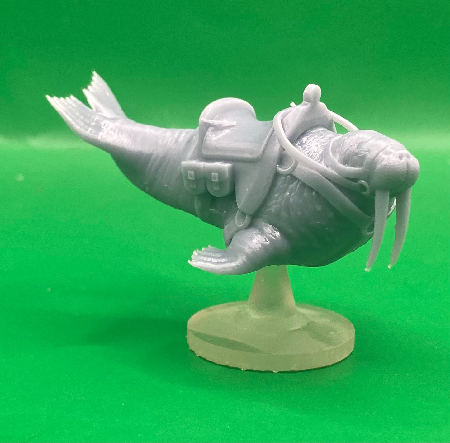 Walrus (3 Variants Available) - MZ4250