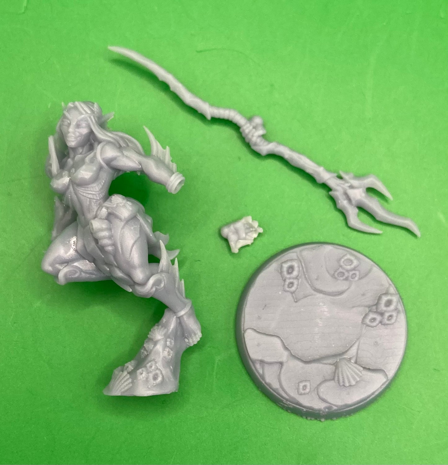 Triton Raider D (Modular) - Artisan Guild