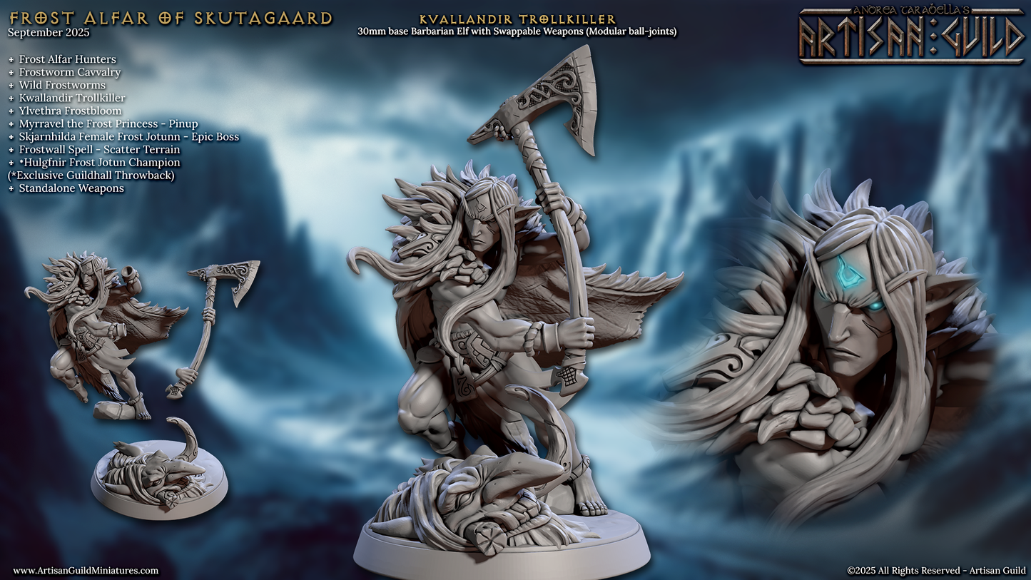 Kvallandir, Trollkiller - Winter Elf Hero - Artisan Guild