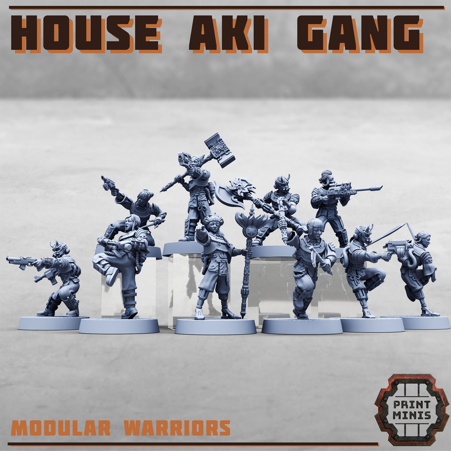 House Aki Gang, Eastern SciFi Warrior Women (10 Variants Available) - Print Minis