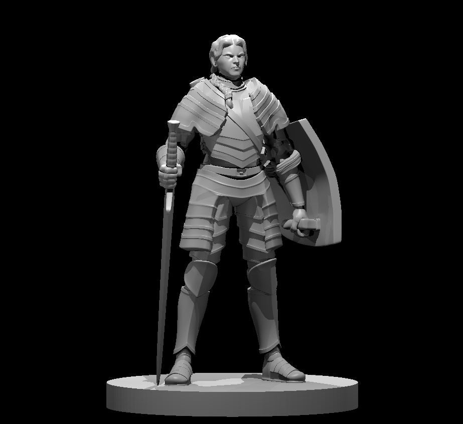 Human Paladins, Set 2 (5 Variants Available) - MZ4250