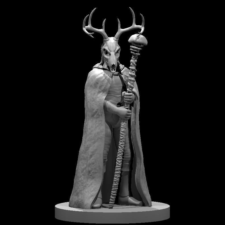 Human Druids, Set 1 (7 Variants Available) - MZ4250