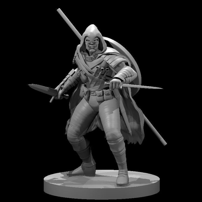 Rogues (5 Variants Available) - MZ4250