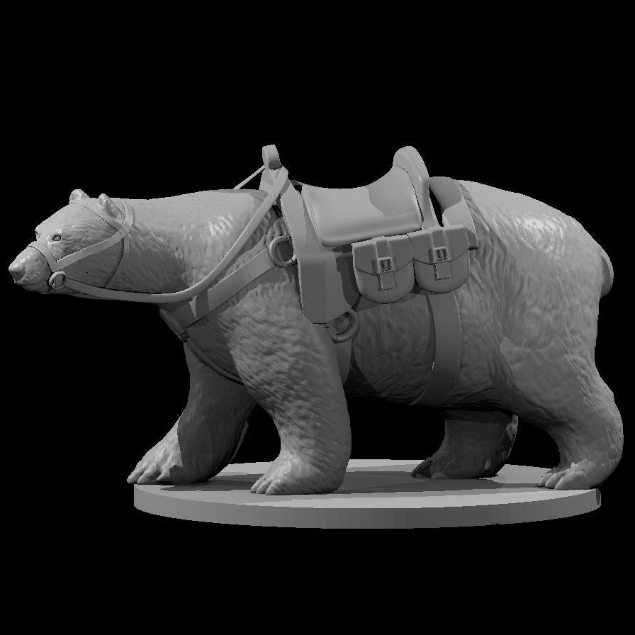 Bears (5 Variants Available) - MZ4250