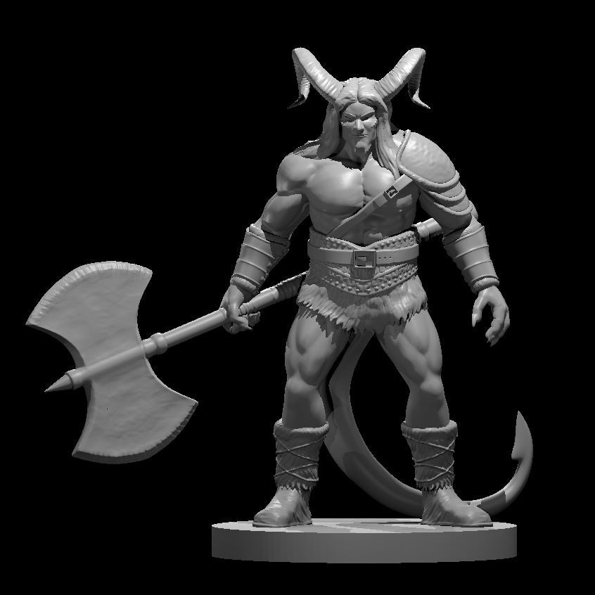 Tiefling Barbarians (4 Variants Available) - MZ4250