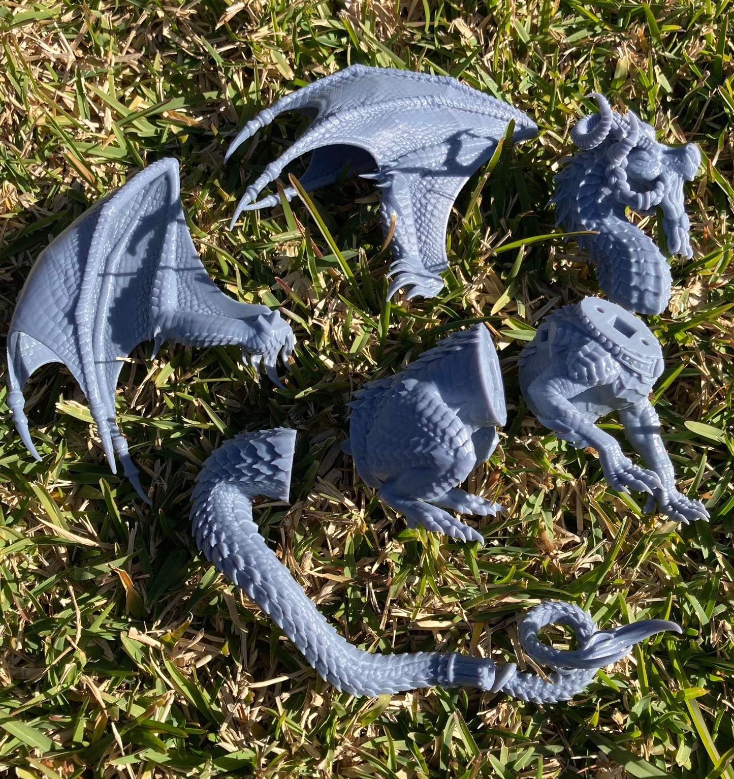 Arvanth the Wise - Dragon Trapper's Lodge