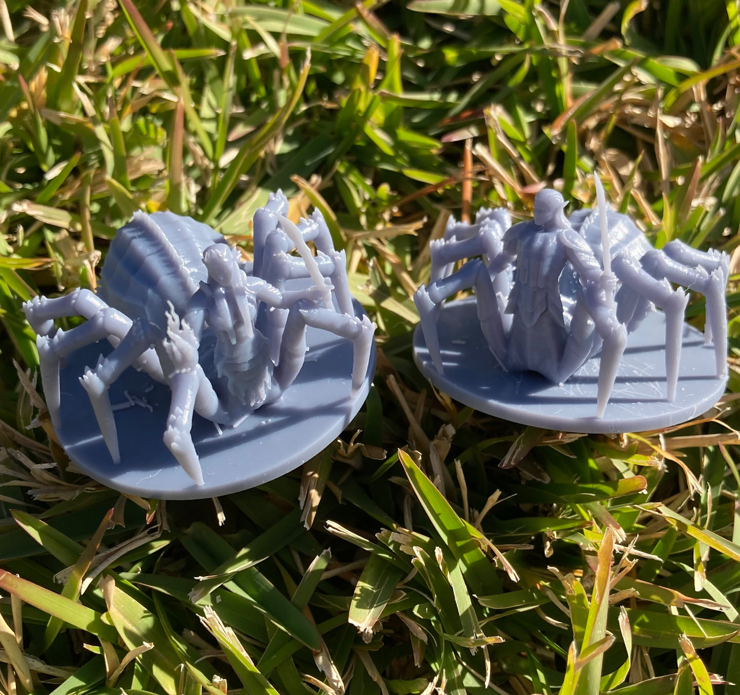 Drider (6 Variants) - MZ4250