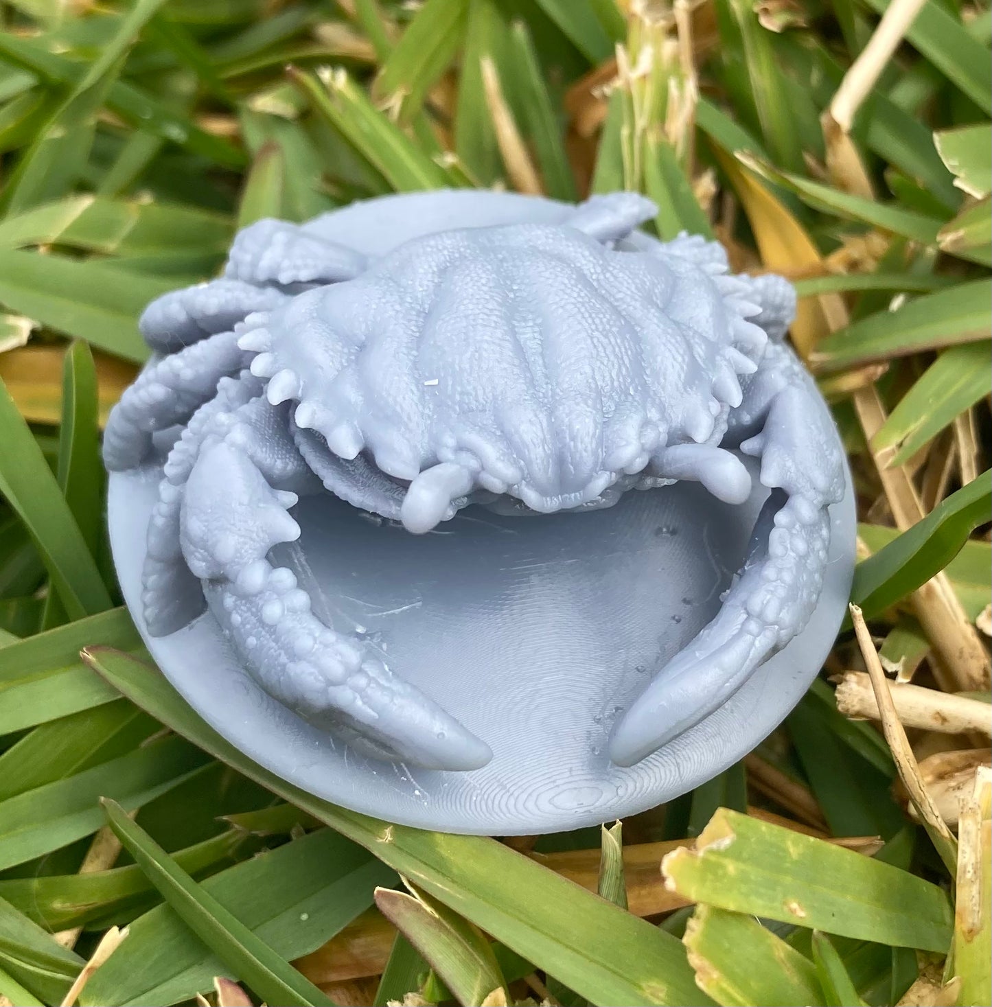 Crab (2 Variants Available) - Brayan Nafarrate