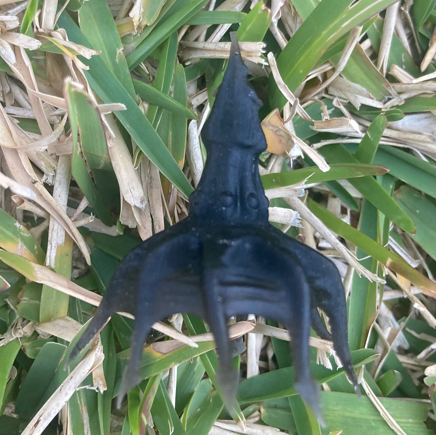 Darkmantle (2 Variants Available) - MZ4250