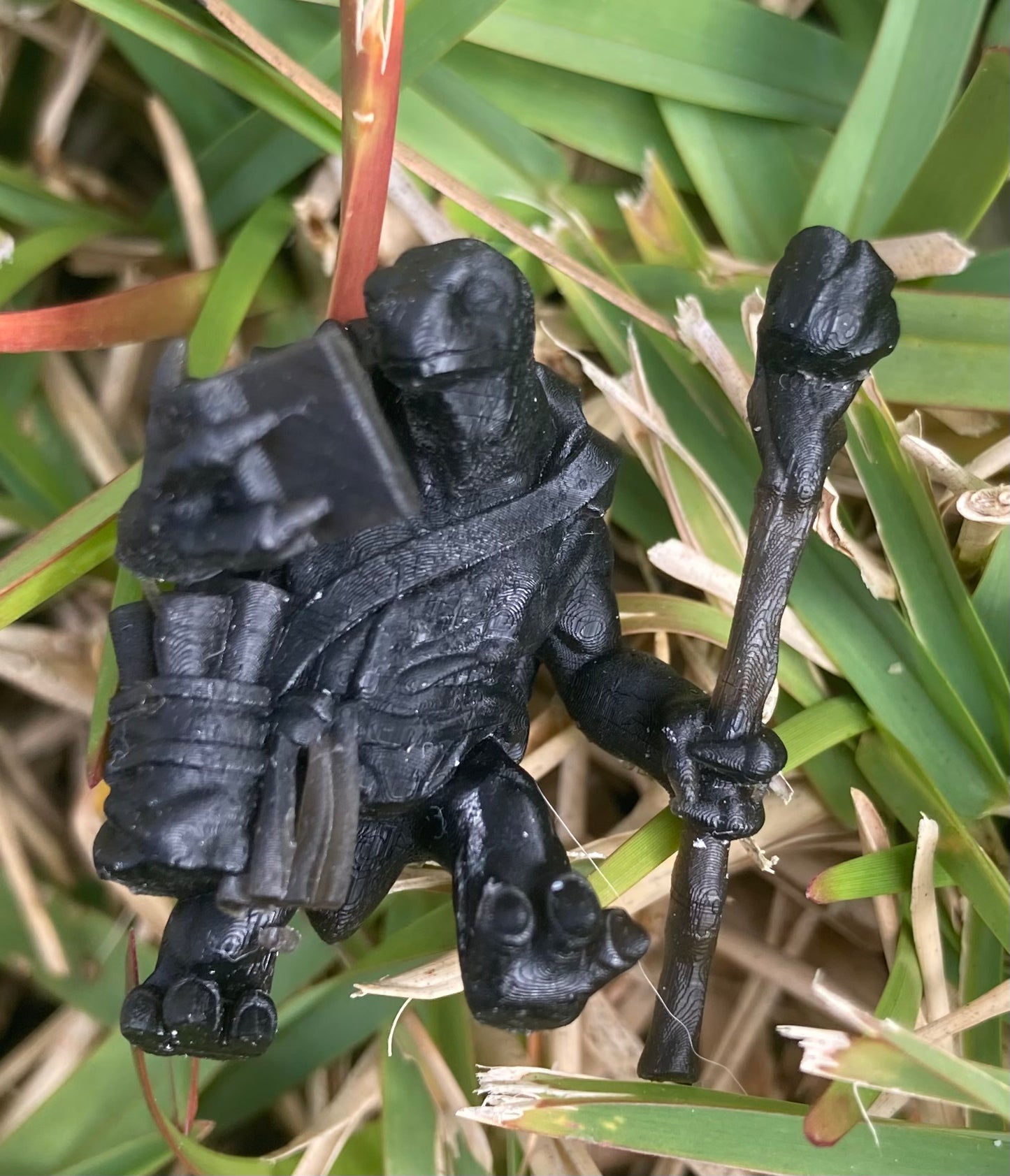 Male Tortle Wizard - Velrock