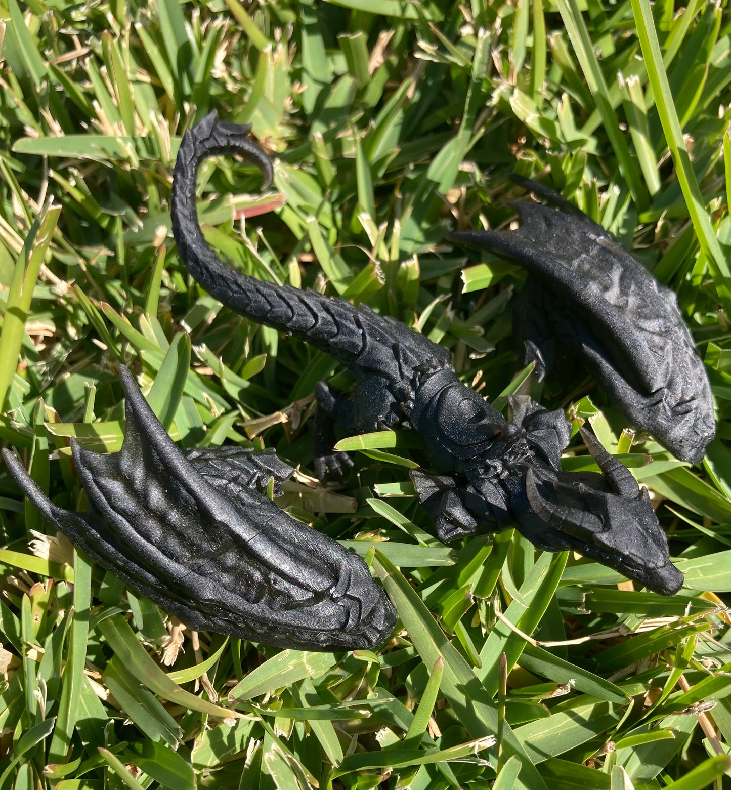 Wyverns and Cavaliers - Female (7 Variants Available) - Velrock