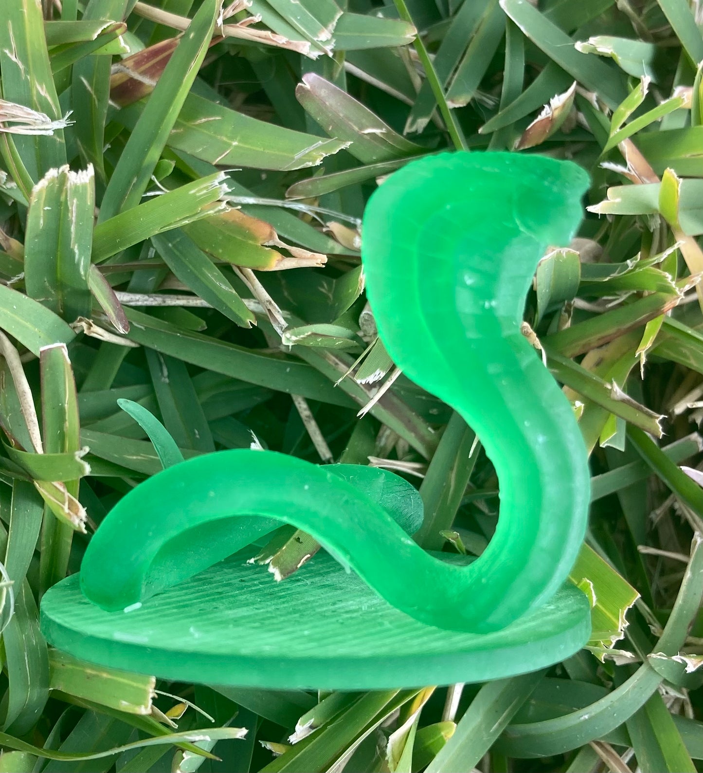 Naga (2 Variants) - MZ4250