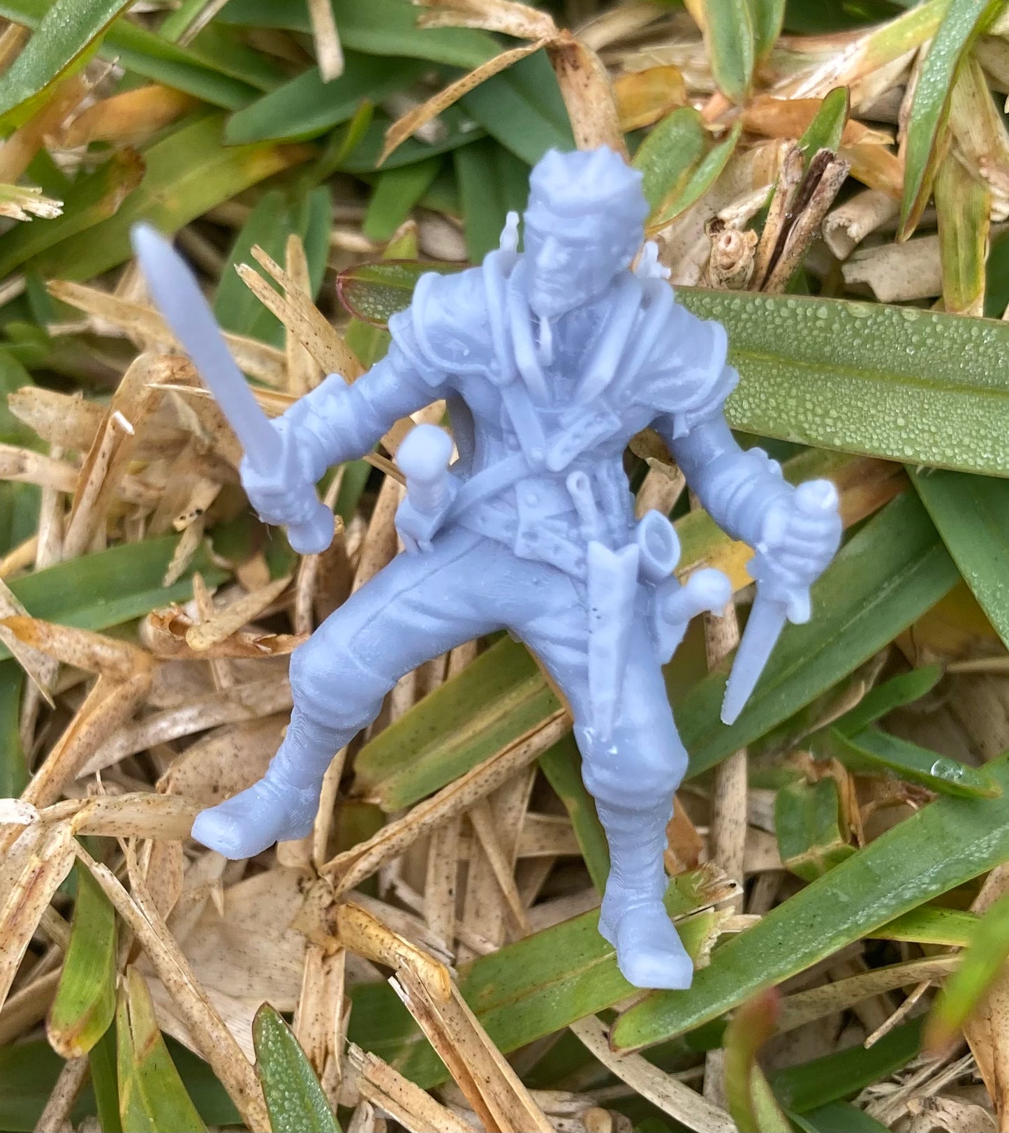 Male Human Rogue - Velrock