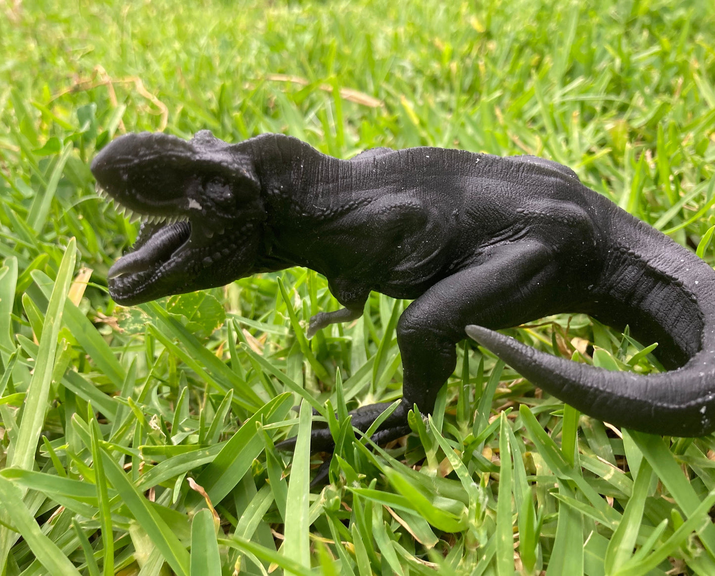 T-Rex (6 Variants) - Epic Miniatures