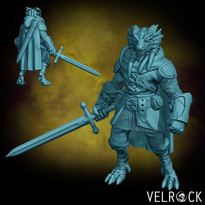 Novice Dragonborn Paladin - Velrock