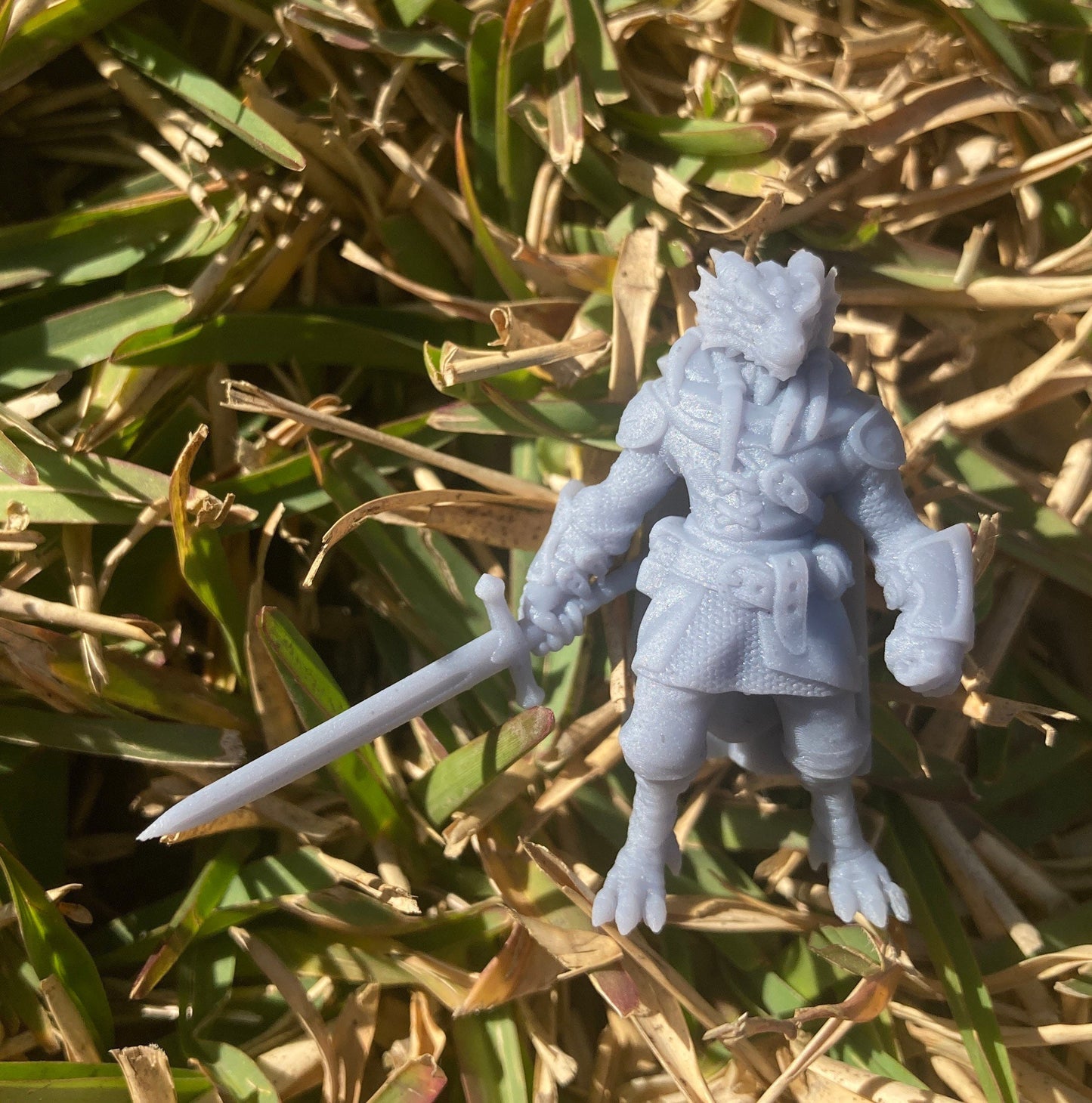 Novice Dragonborn Paladin - Velrock