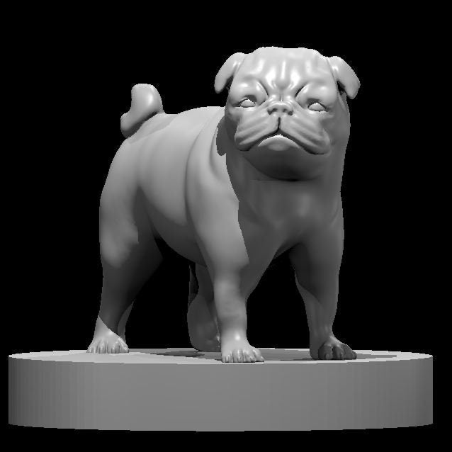 Pug (3 Variants Available) - MZ4250