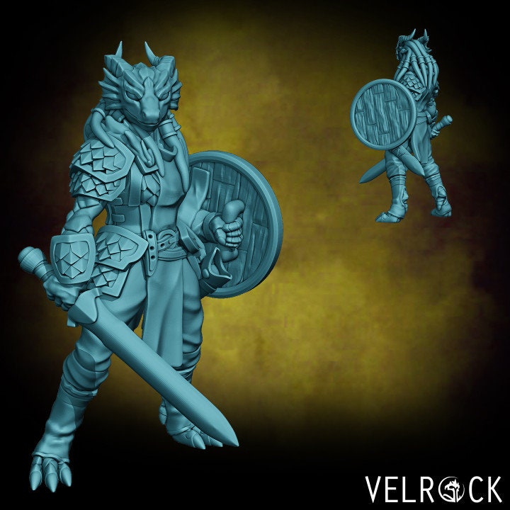 Dragonfolk Soldiers - Set 2 (5 Variants Available) - Velrock