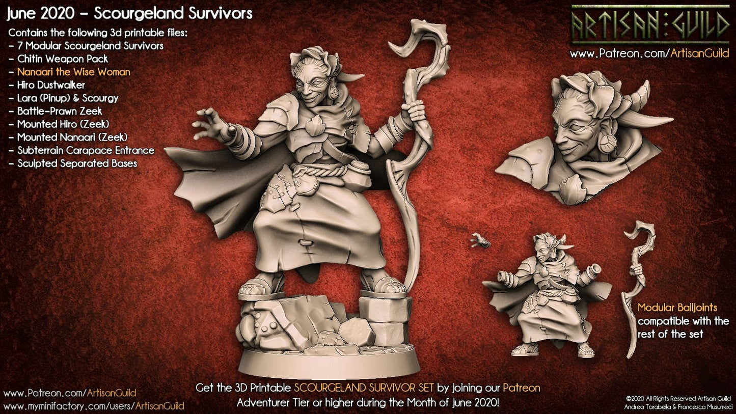 Nanaari, the Wise Woman - Artisan Guild