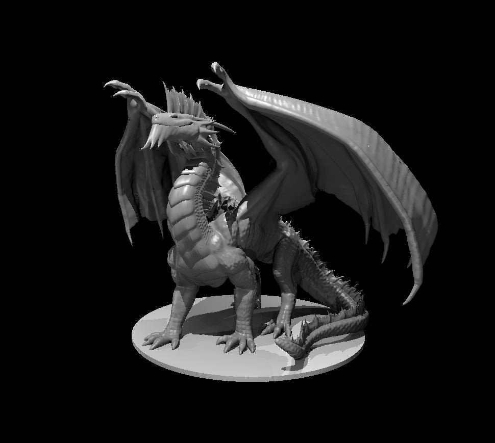 Silver Dragon (Various Ages and Poses) - MZ4250
