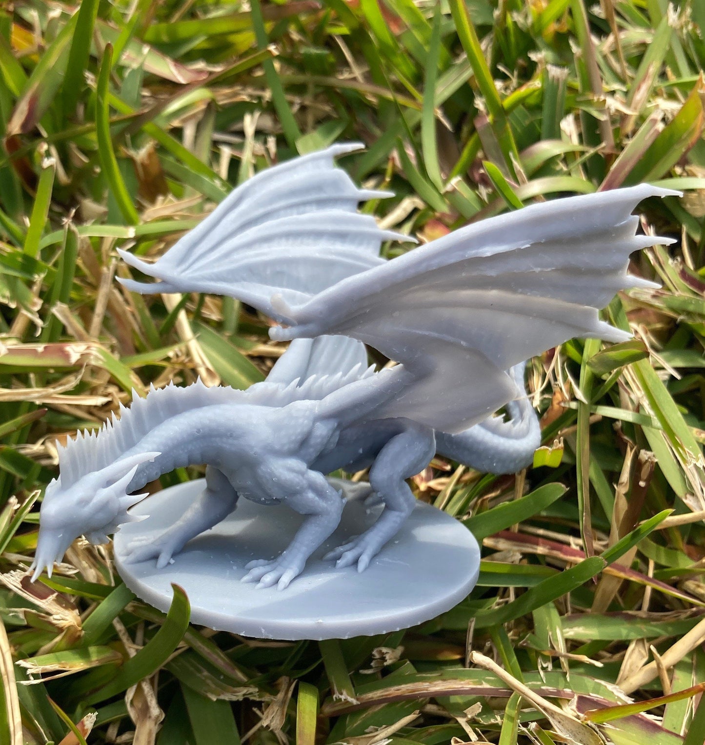 Silver Dragon (Various Ages and Poses) - MZ4250