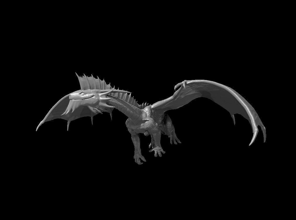 Silver Dragon (Various Ages and Poses) - MZ4250